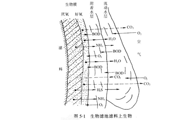 好氧生物處理生物膜法